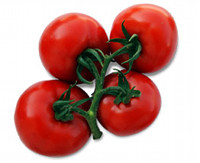 tomates alimentos transgenicos