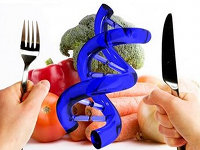 beneficios o riesgos de alimentos transgenicos